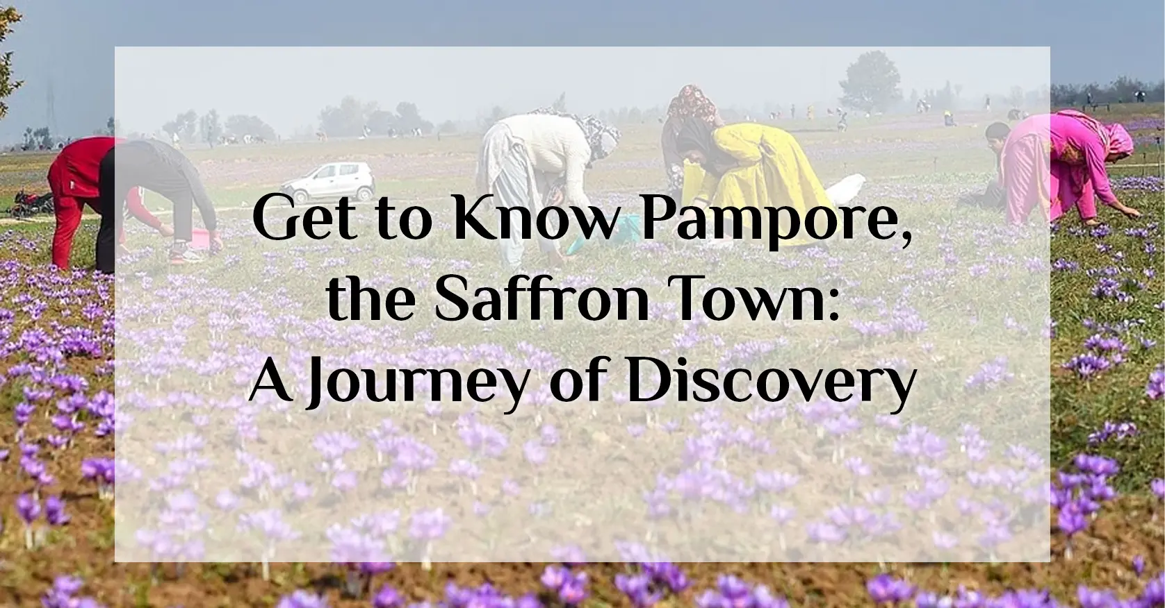 Get-to-Know-Pampore-the-Saffron-Town-A-Journey-of-Discovery